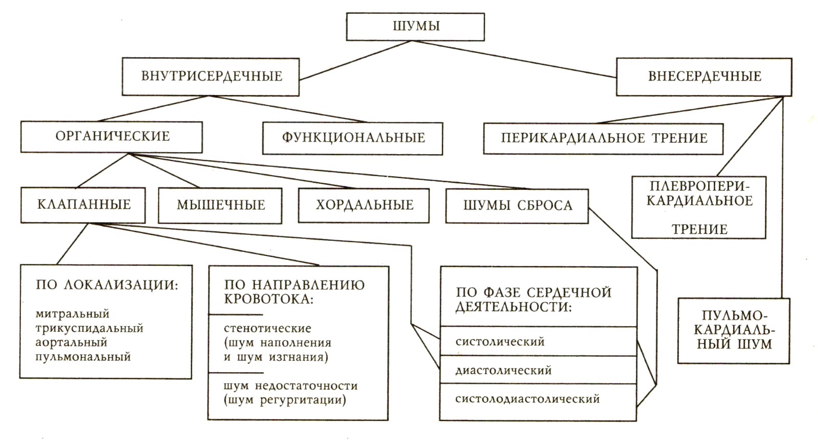 Шумы сброса. Классификация шумов сердца пропедевтика. Классификация функциональных шумов сердца. Классификация сердечных шумов механизм возникновения. Органические шумы сердца классификация.