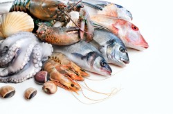 Польза морепродуктов при гипертонии