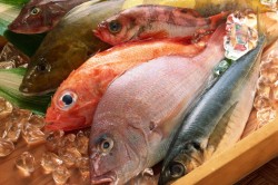 Употребление рыбы при атеросклерозе аорты