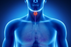 Повышенная функция щитовидной железы - причина артериальной гипертензии